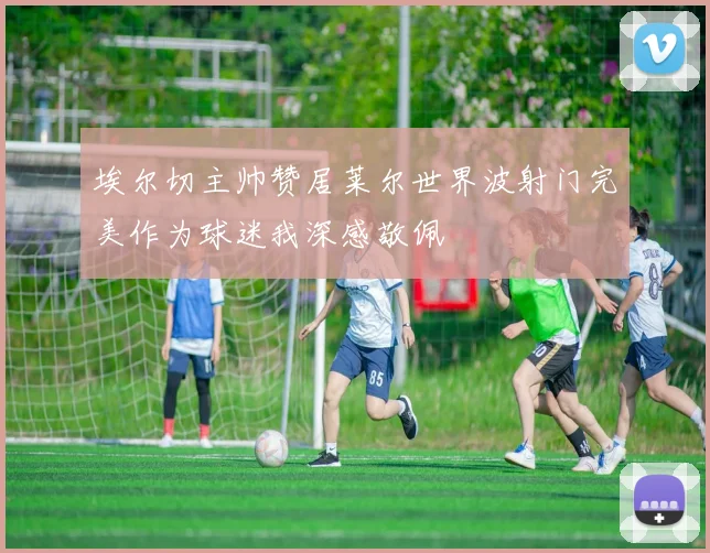 埃尔切主帅赞居莱尔世界波射门完美作为球迷我深感敬佩