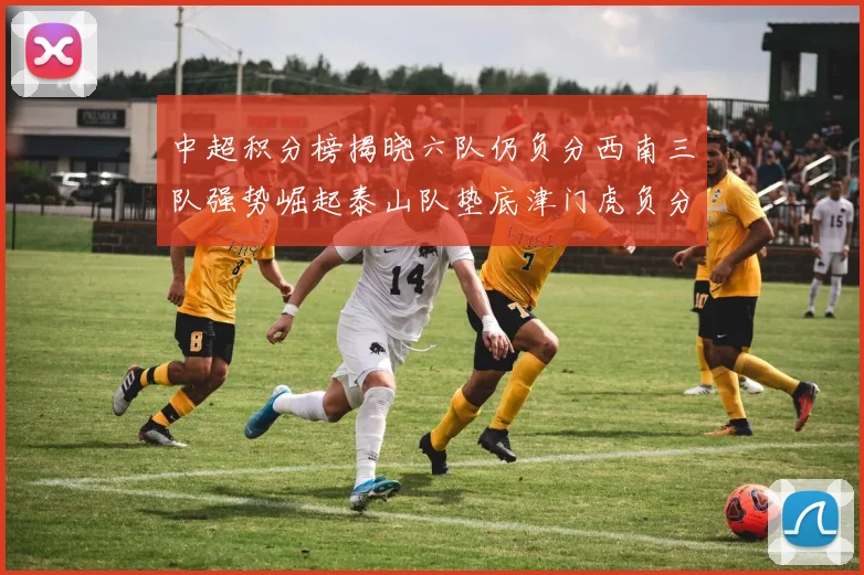 中超积分榜揭晓六队仍负分西南三队强势崛起泰山队垫底津门虎负分严重